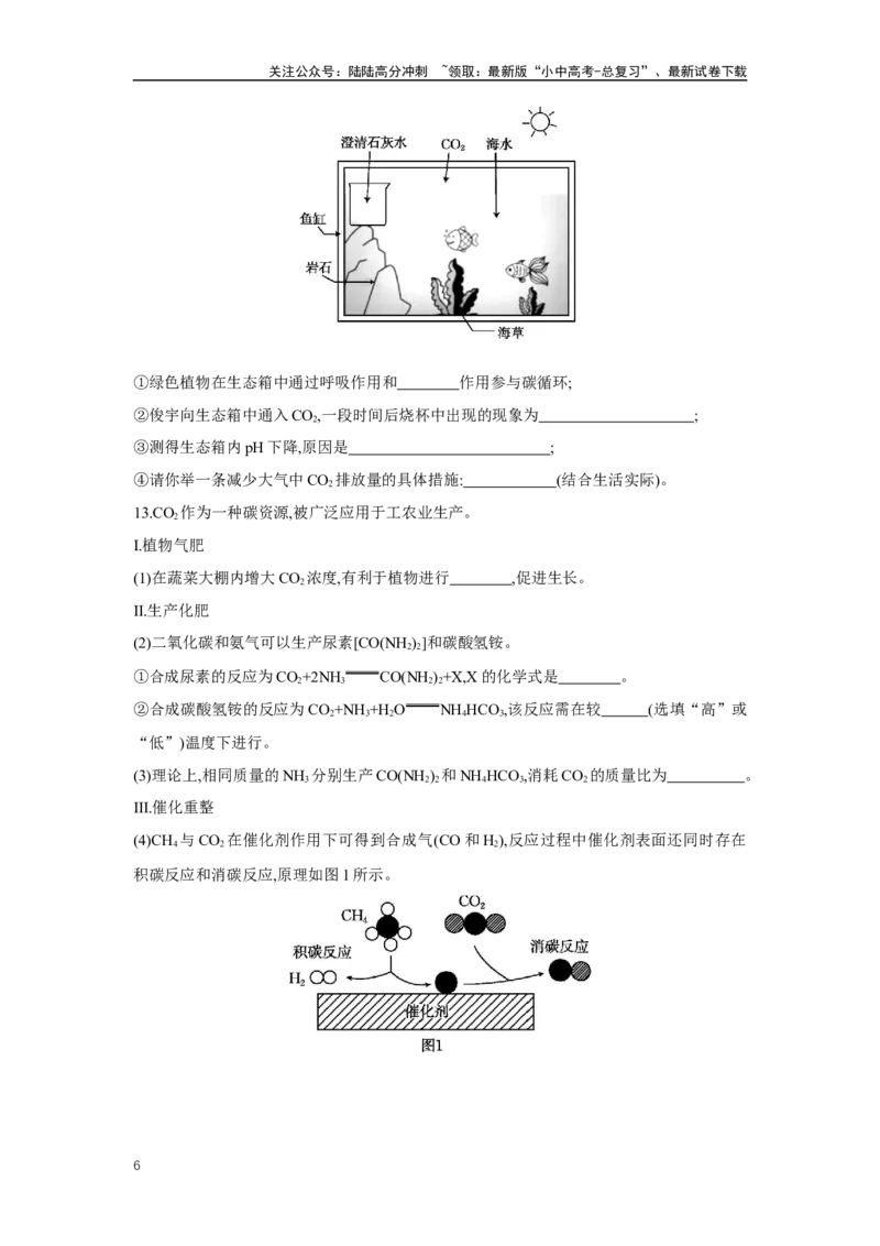 1.4碳和碳的氧化物2025年中考化学（人教版）一轮考点研究练习（含解析）_02中考总复习（2026版更新中）_05-化学-中考总复习_2025年中考复习资料