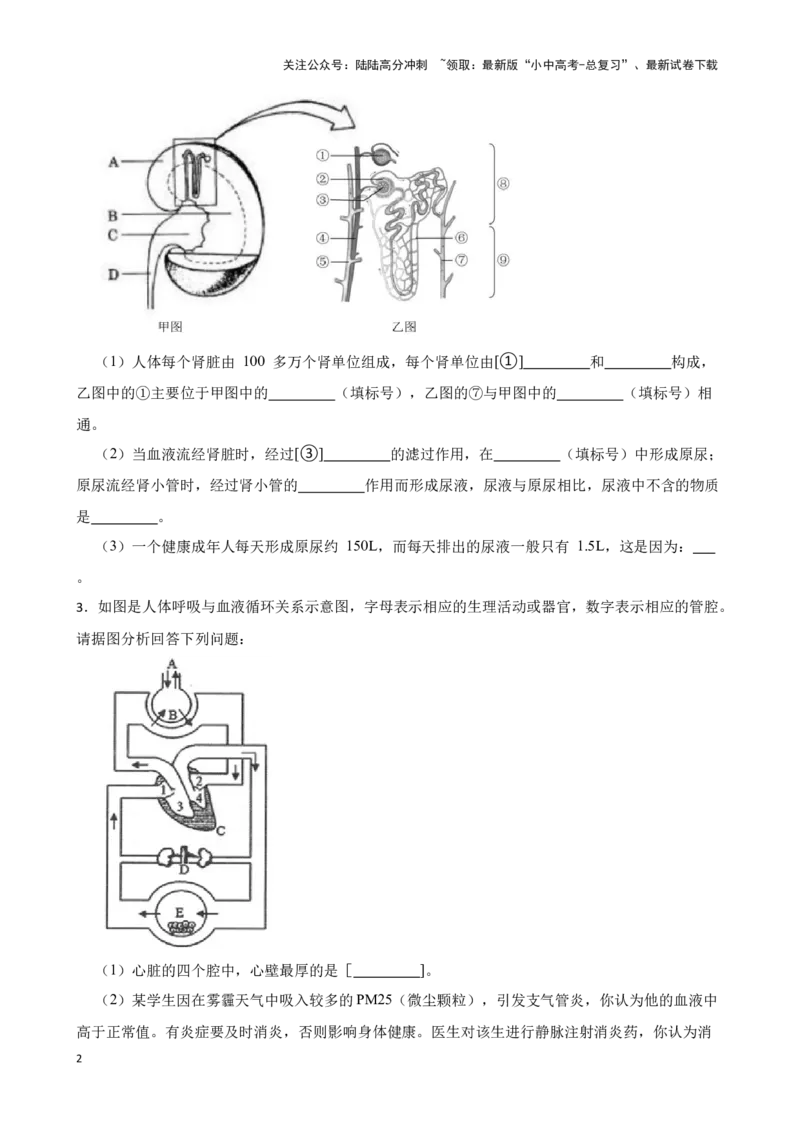 2024年中考生物专题复习：读图理解题训练（含答案）_02中考总复习（2026版更新中）_08-生物-中考总复习_2024年中考复习资料_二轮复习_备考2024中考生物二轮复习题型突破专练