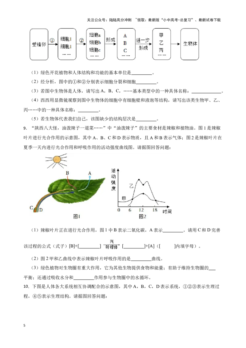 2024年中考生物专题复习：读图理解题训练（含答案）_02中考总复习（2026版更新中）_08-生物-中考总复习_2024年中考复习资料_二轮复习_备考2024中考生物二轮复习题型突破专练