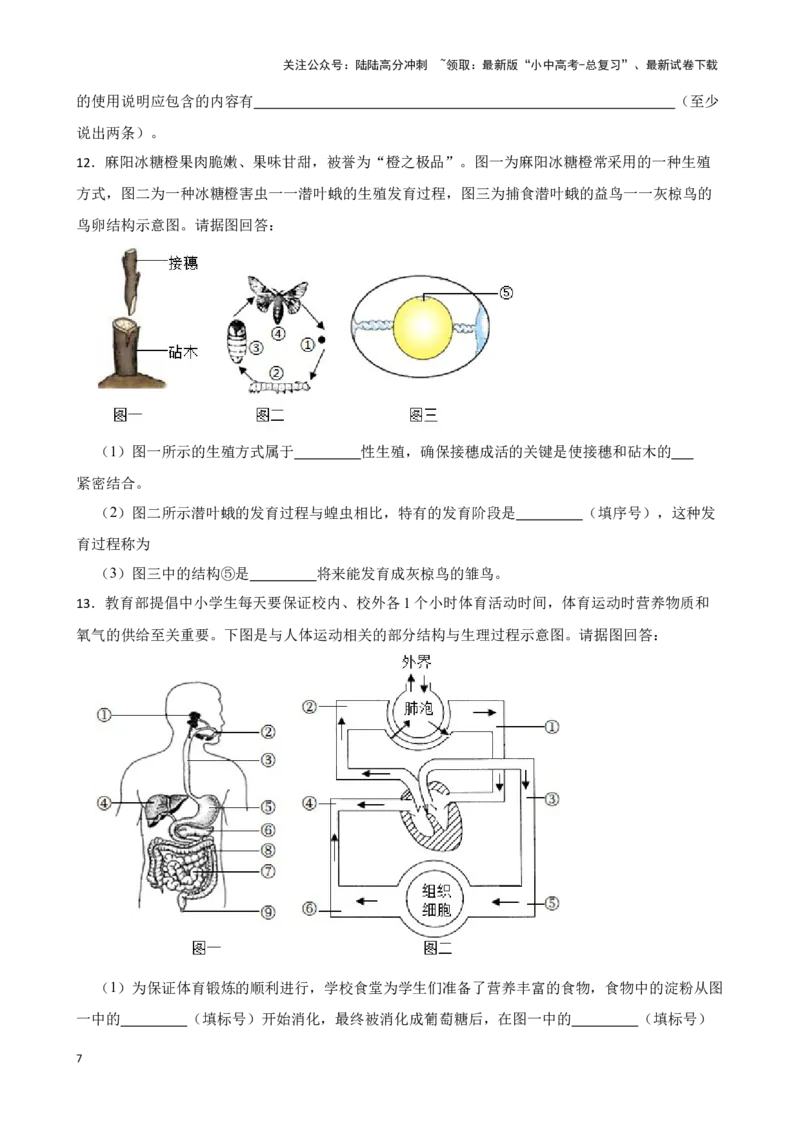 2024年中考生物专题复习：读图理解题训练（含答案）_02中考总复习（2026版更新中）_08-生物-中考总复习_2024年中考复习资料_二轮复习_备考2024中考生物二轮复习题型突破专练