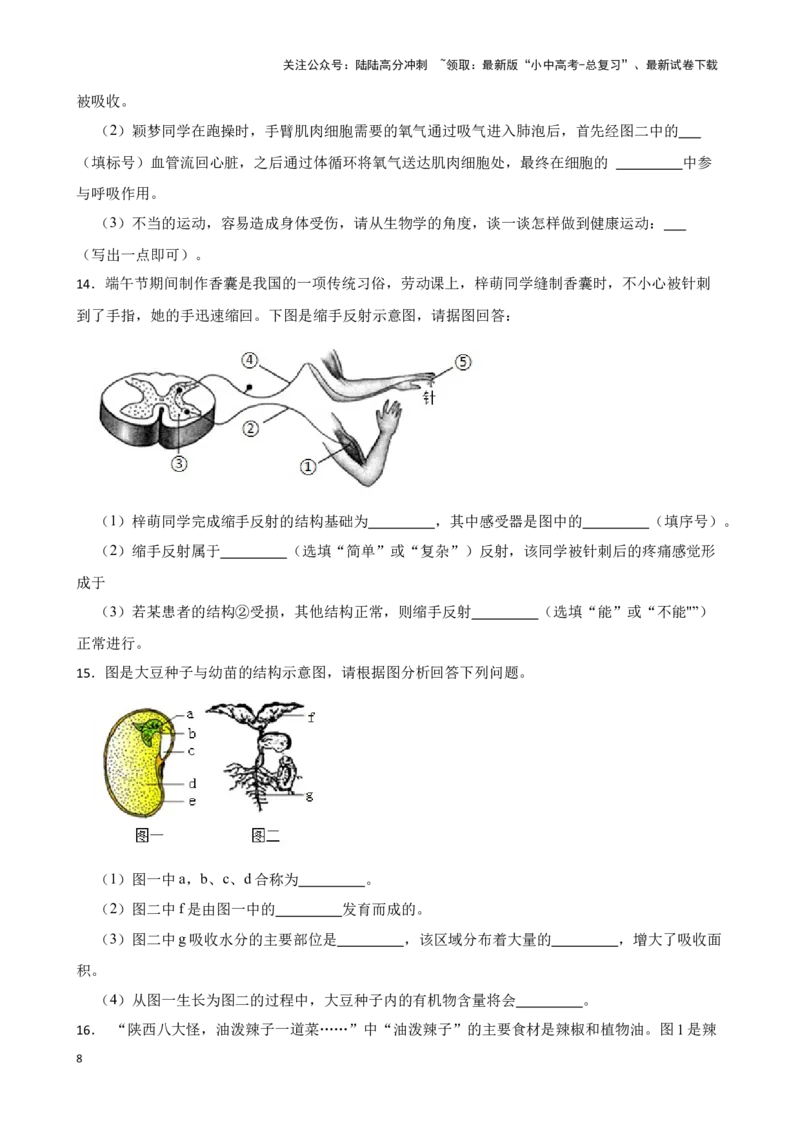 2024年中考生物专题复习：读图理解题训练（含答案）_02中考总复习（2026版更新中）_08-生物-中考总复习_2024年中考复习资料_二轮复习_备考2024中考生物二轮复习题型突破专练