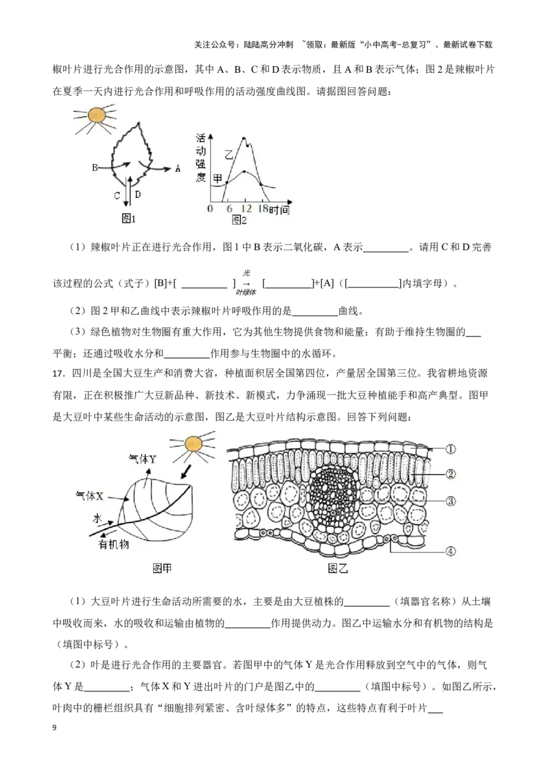 2024年中考生物专题复习：读图理解题训练（含答案）_02中考总复习（2026版更新中）_08-生物-中考总复习_2024年中考复习资料_二轮复习_备考2024中考生物二轮复习题型突破专练