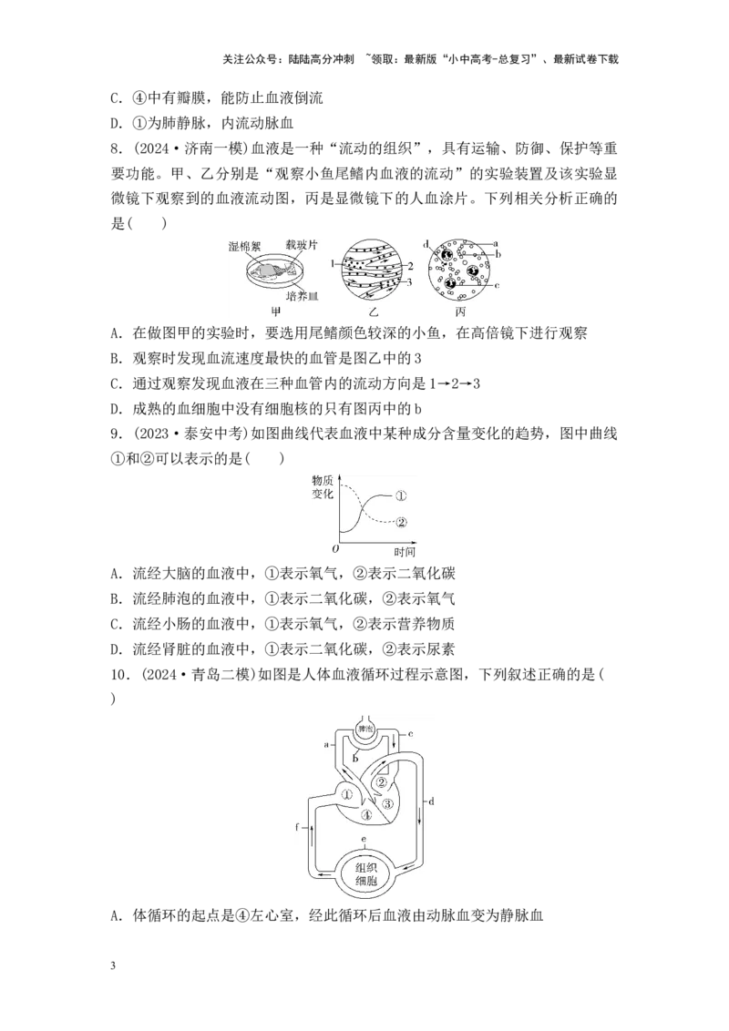 2025中考生物二轮专题训练11人体内物质的运输（含解析）_02中考总复习（2026版更新中）_08-生物-中考总复习_2025中考复习资料_2025中考生物二轮专题训练（含解析）