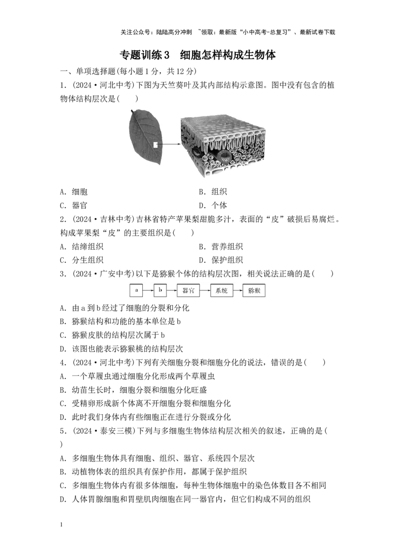 2025中考生物二轮专题训练3：细胞怎样构成生物体（含解析）_02中考总复习（2026版更新中）_08-生物-中考总复习_2025中考复习资料_2025中考生物二轮专题训练（含解析）