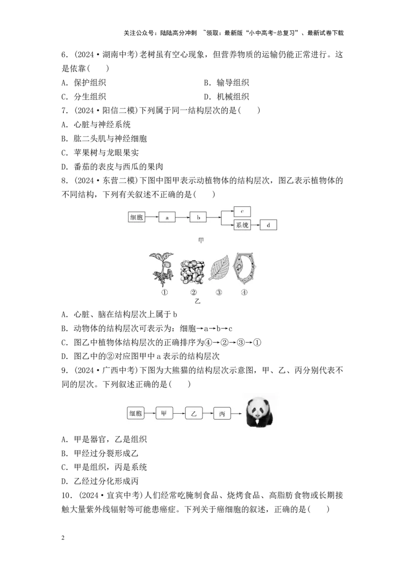 2025中考生物二轮专题训练3：细胞怎样构成生物体（含解析）_02中考总复习（2026版更新中）_08-生物-中考总复习_2025中考复习资料_2025中考生物二轮专题训练（含解析）