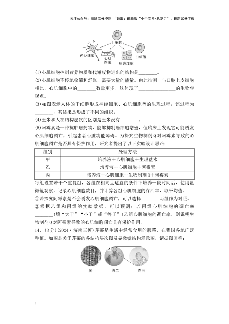 2025中考生物二轮专题训练3：细胞怎样构成生物体（含解析）_02中考总复习（2026版更新中）_08-生物-中考总复习_2025中考复习资料_2025中考生物二轮专题训练（含解析）