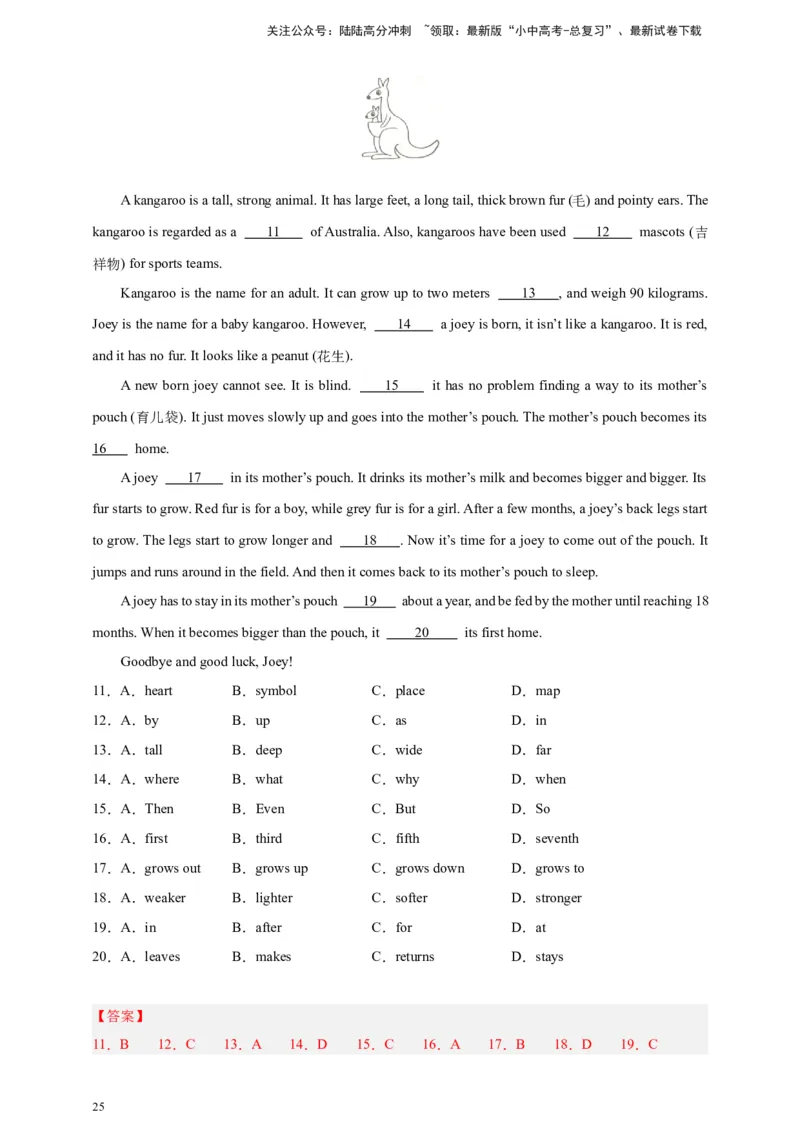 2024中考英语二轮复习题型模拟训练03完形填空：说明文（解析版）_02中考总复习（2026版更新中）_03-英语-中考总复习_2024年中考复习资料_二轮复习