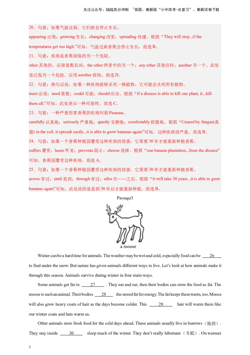 2024中考英语二轮复习题型模拟训练03完形填空：说明文（解析版）_02中考总复习（2026版更新中）_03-英语-中考总复习_2024年中考复习资料_二轮复习