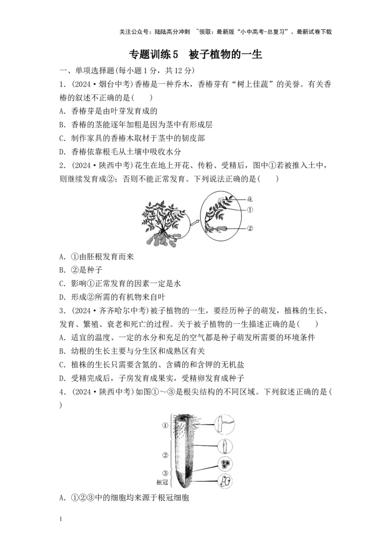 2025中考生物二轮专题训练5：被子植物的一生（含解析）_02中考总复习（2026版更新中）_08-生物-中考总复习_2025中考复习资料_2025中考生物二轮专题训练（含解析）