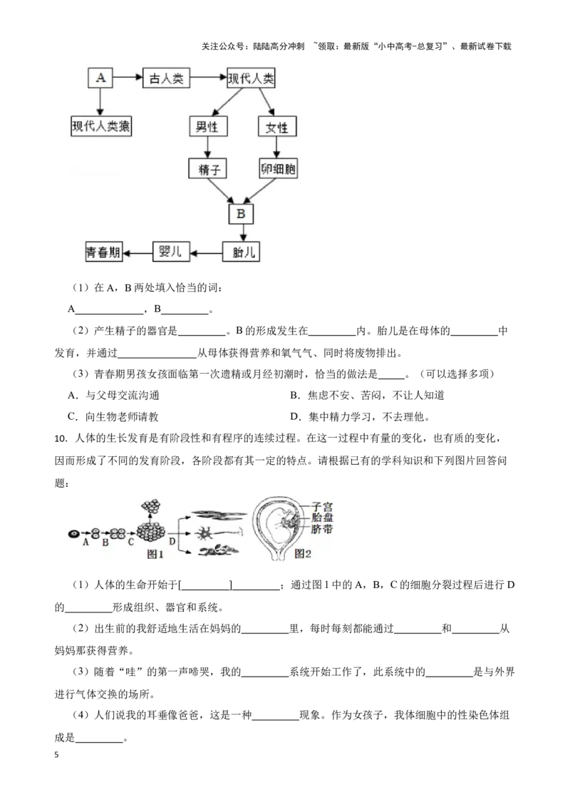 2024年中考生物读图理解专题复习：人的生殖与发育（含答案）_02中考总复习（2026版更新中）_08-生物-中考总复习_2024年中考复习资料_二轮复习_备考2024中考生物二轮复习读图理解精练
