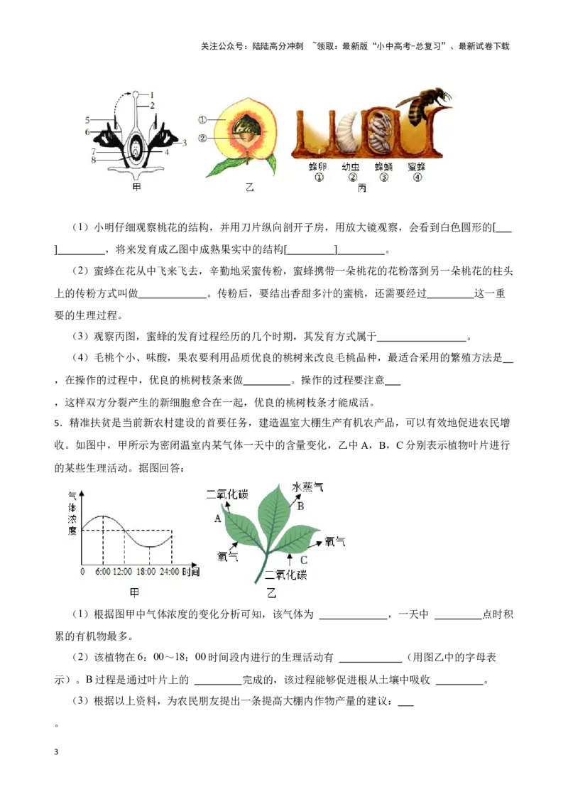 2024年中考生物读图理解专题复习：生物圈中的绿色植物（含答案）_02中考总复习（2026版更新中）_08-生物-中考总复习_2024年中考复习资料_二轮复习