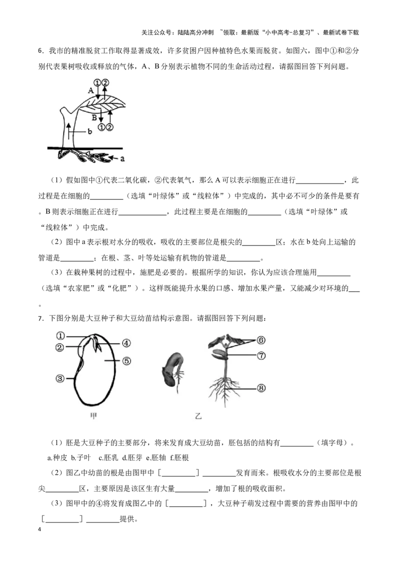 2024年中考生物读图理解专题复习：生物圈中的绿色植物（含答案）_02中考总复习（2026版更新中）_08-生物-中考总复习_2024年中考复习资料_二轮复习