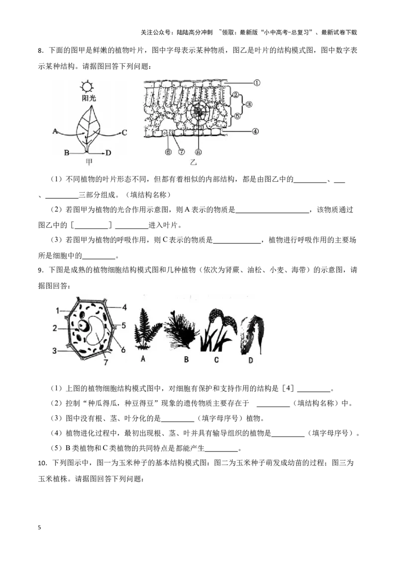 2024年中考生物读图理解专题复习：生物圈中的绿色植物（含答案）_02中考总复习（2026版更新中）_08-生物-中考总复习_2024年中考复习资料_二轮复习