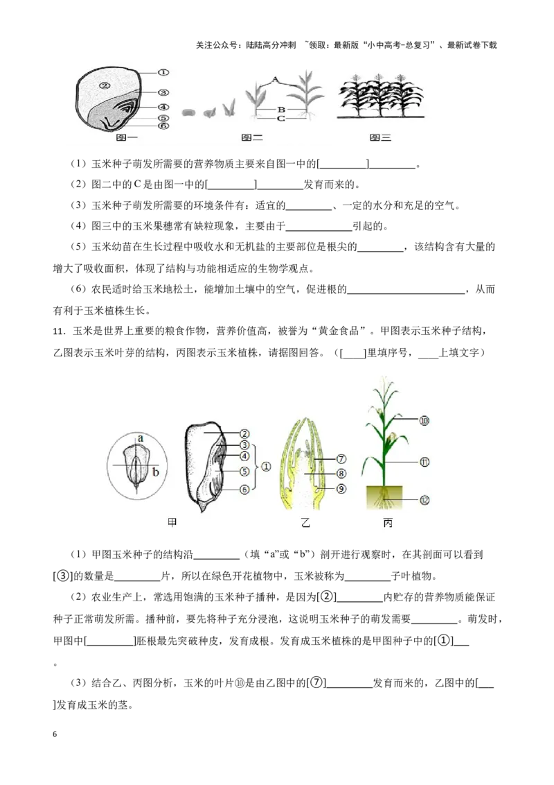 2024年中考生物读图理解专题复习：生物圈中的绿色植物（含答案）_02中考总复习（2026版更新中）_08-生物-中考总复习_2024年中考复习资料_二轮复习