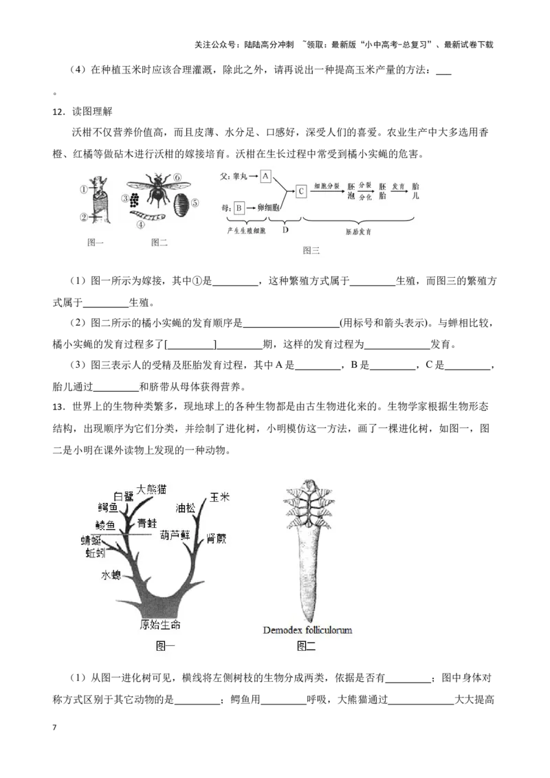 2024年中考生物读图理解专题复习：生物圈中的绿色植物（含答案）_02中考总复习（2026版更新中）_08-生物-中考总复习_2024年中考复习资料_二轮复习