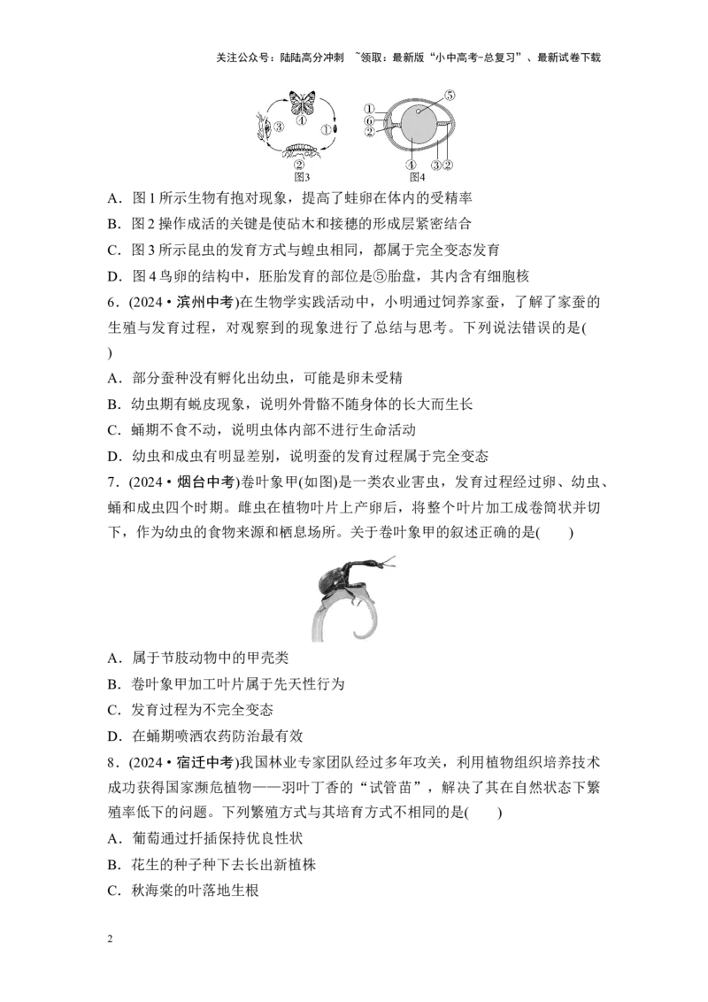 2025中考生物二轮专题训练18　生物的生殖和发育（含解析）_02中考总复习（2026版更新中）_08-生物-中考总复习_2025中考复习资料_2025中考生物二轮专题训练（含解析）