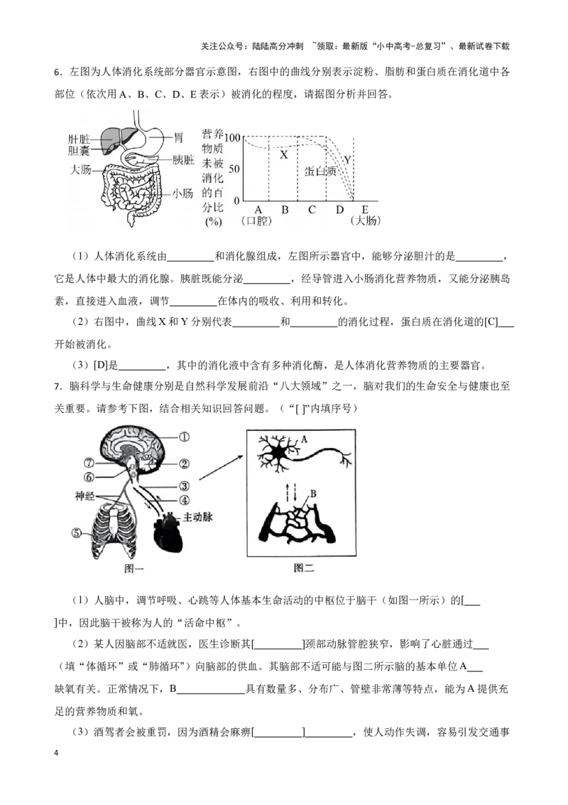 2024年中考生物读图理解专题复习：人体生命活动的调节（含答案）_02中考总复习（2026版更新中）_08-生物-中考总复习_2024年中考复习资料_二轮复习