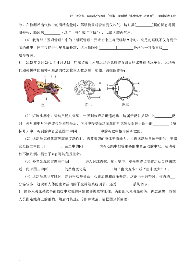 2024年中考生物读图理解专题复习：人体生命活动的调节（含答案）_02中考总复习（2026版更新中）_08-生物-中考总复习_2024年中考复习资料_二轮复习