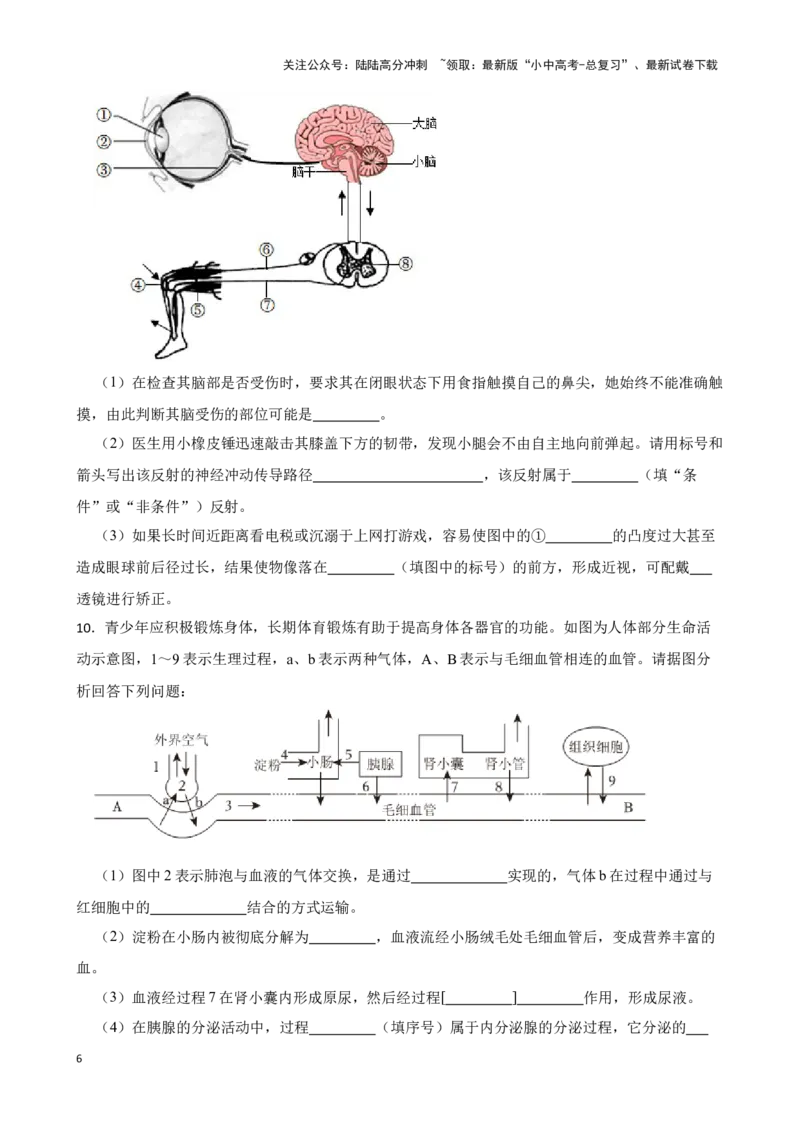 2024年中考生物读图理解专题复习：人体生命活动的调节（含答案）_02中考总复习（2026版更新中）_08-生物-中考总复习_2024年中考复习资料_二轮复习