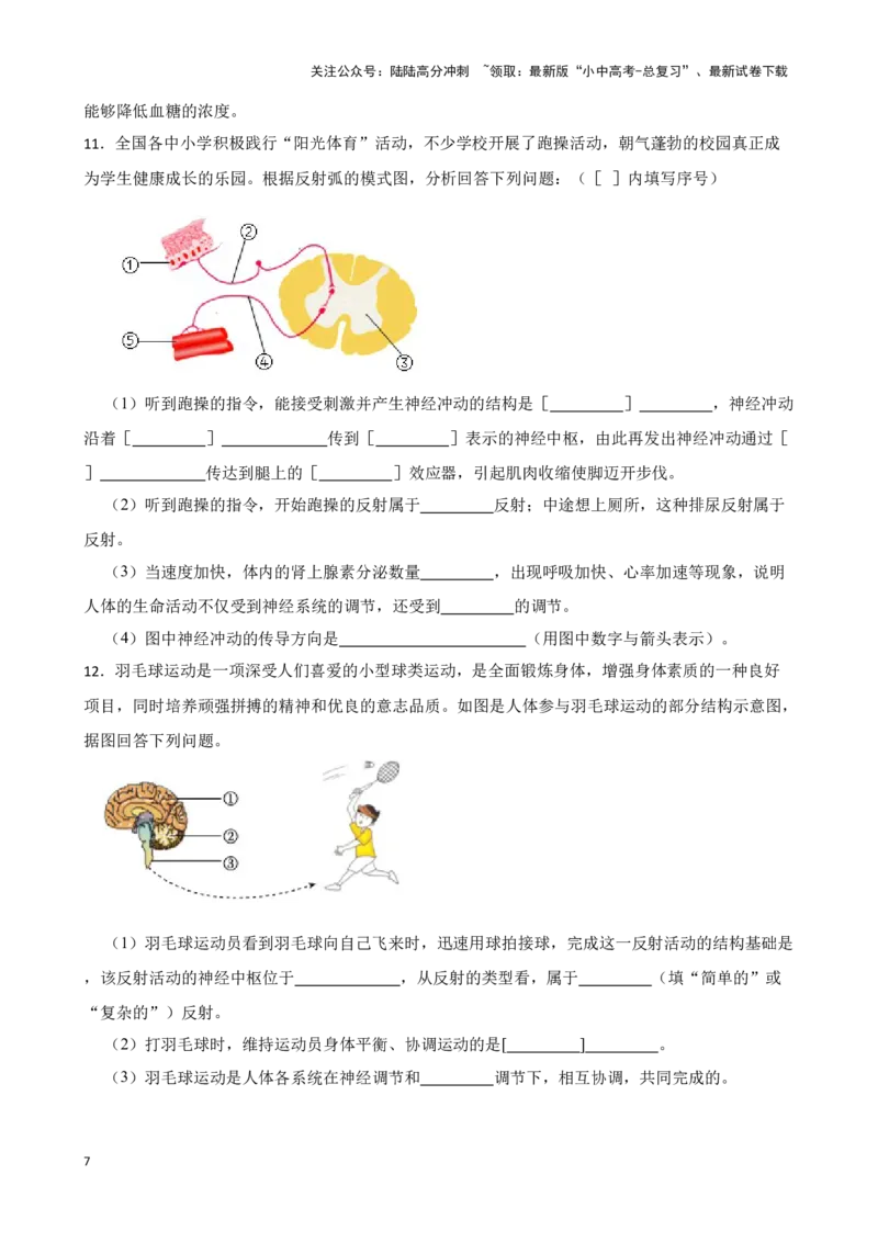 2024年中考生物读图理解专题复习：人体生命活动的调节（含答案）_02中考总复习（2026版更新中）_08-生物-中考总复习_2024年中考复习资料_二轮复习