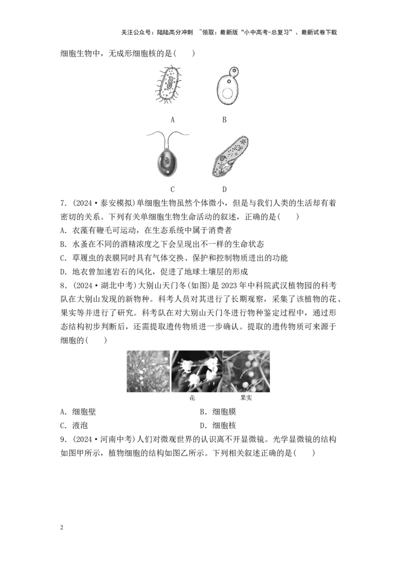 2025中考生物二轮专题训练2　细胞是生物体生命活动的基本单位（含解析）_02中考总复习（2026版更新中）_08-生物-中考总复习_2025中考复习资料_2025中考生物二轮专题训练（含解析）