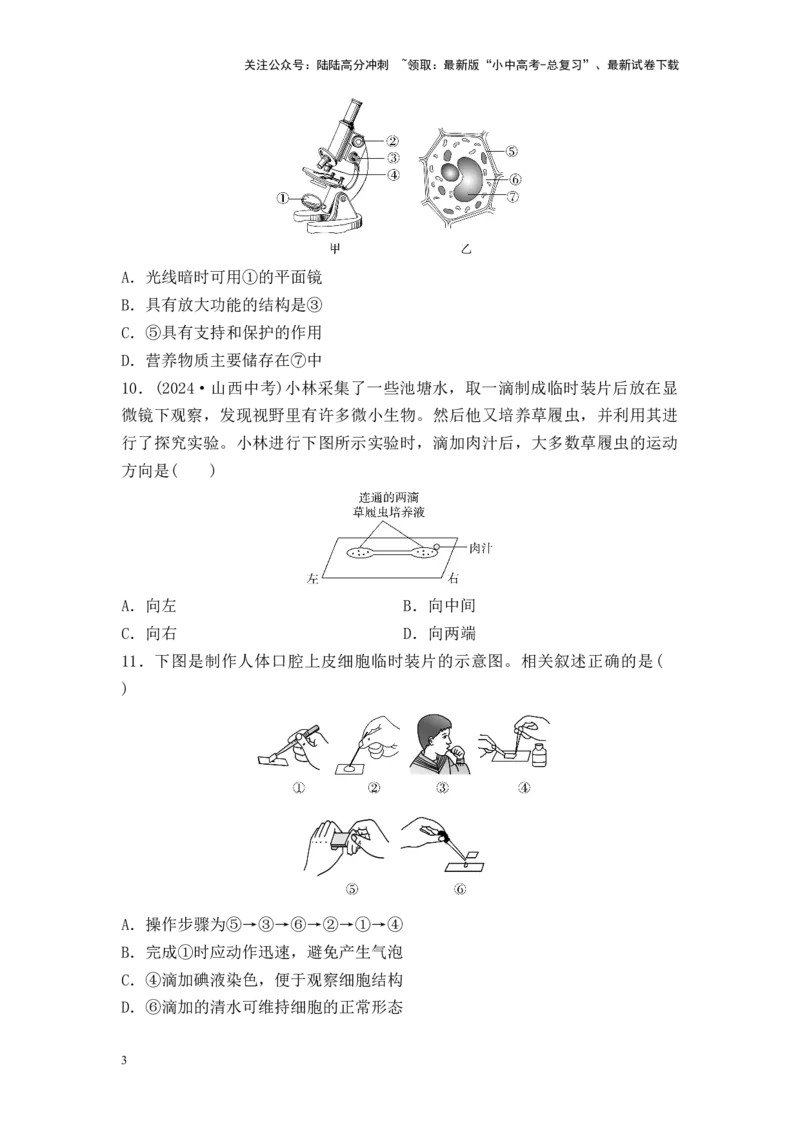 2025中考生物二轮专题训练2　细胞是生物体生命活动的基本单位（含解析）_02中考总复习（2026版更新中）_08-生物-中考总复习_2025中考复习资料_2025中考生物二轮专题训练（含解析）