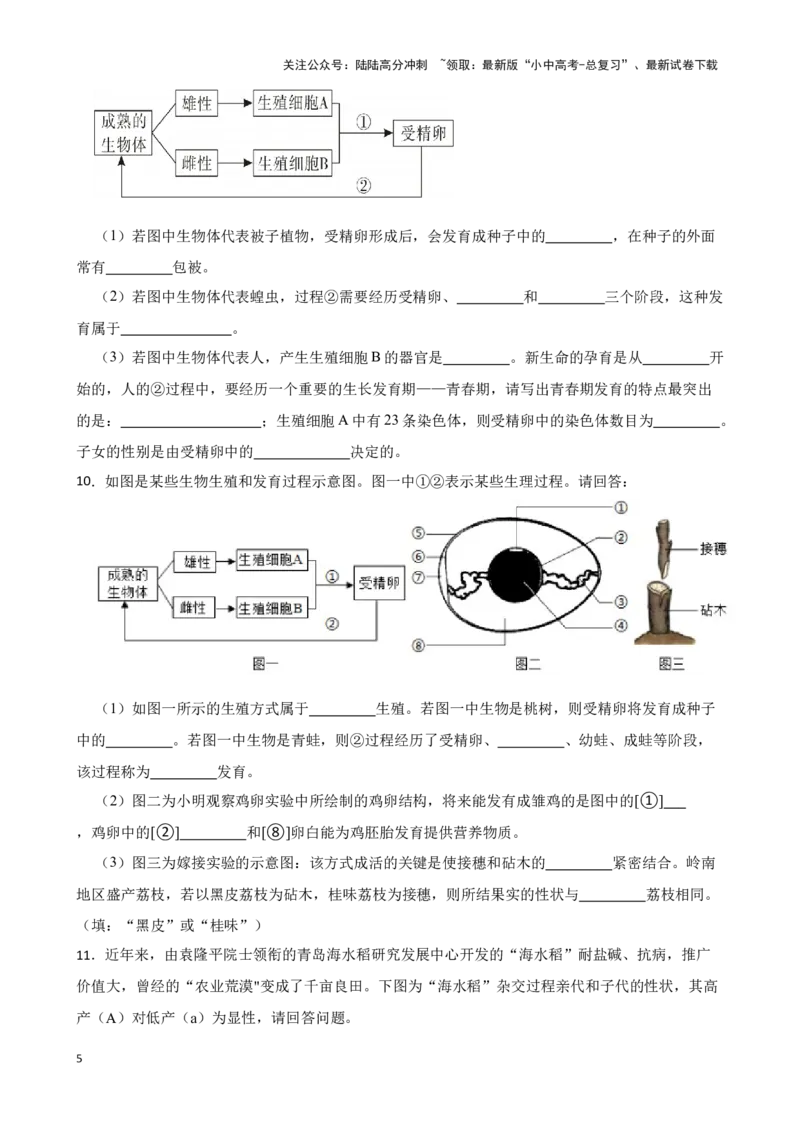 2024年中考生物读图理解专题复习：生物的生殖与发育（含答案）_02中考总复习（2026版更新中）_08-生物-中考总复习_2024年中考复习资料_二轮复习