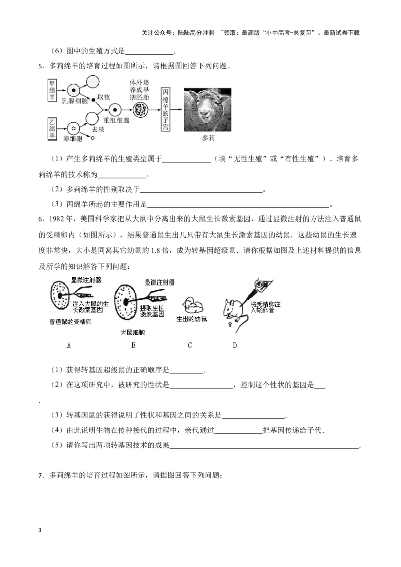 2024年中考生物读图理解专题复习：生物技术（含答案）_02中考总复习（2026版更新中）_08-生物-中考总复习_2024年中考复习资料_二轮复习_备考2024中考生物二轮复习读图理解精练