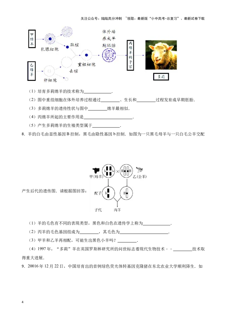 2024年中考生物读图理解专题复习：生物技术（含答案）_02中考总复习（2026版更新中）_08-生物-中考总复习_2024年中考复习资料_二轮复习_备考2024中考生物二轮复习读图理解精练