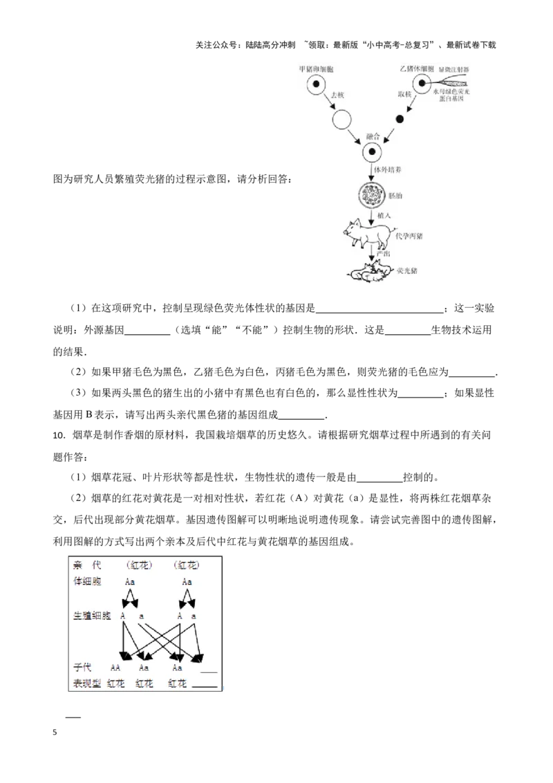 2024年中考生物读图理解专题复习：生物技术（含答案）_02中考总复习（2026版更新中）_08-生物-中考总复习_2024年中考复习资料_二轮复习_备考2024中考生物二轮复习读图理解精练