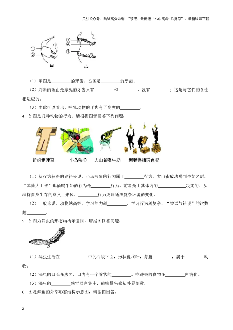 2024年中考生物读图理解专题复习：生物圈中的动物（含答案）_02中考总复习（2026版更新中）_08-生物-中考总复习_2024年中考复习资料_二轮复习_备考2024中考生物二轮复习读图理解精练