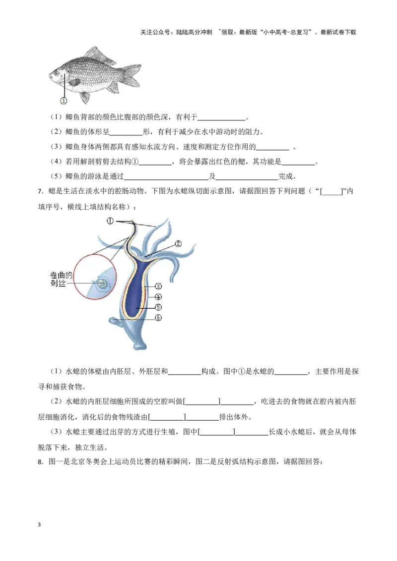 2024年中考生物读图理解专题复习：生物圈中的动物（含答案）_02中考总复习（2026版更新中）_08-生物-中考总复习_2024年中考复习资料_二轮复习_备考2024中考生物二轮复习读图理解精练