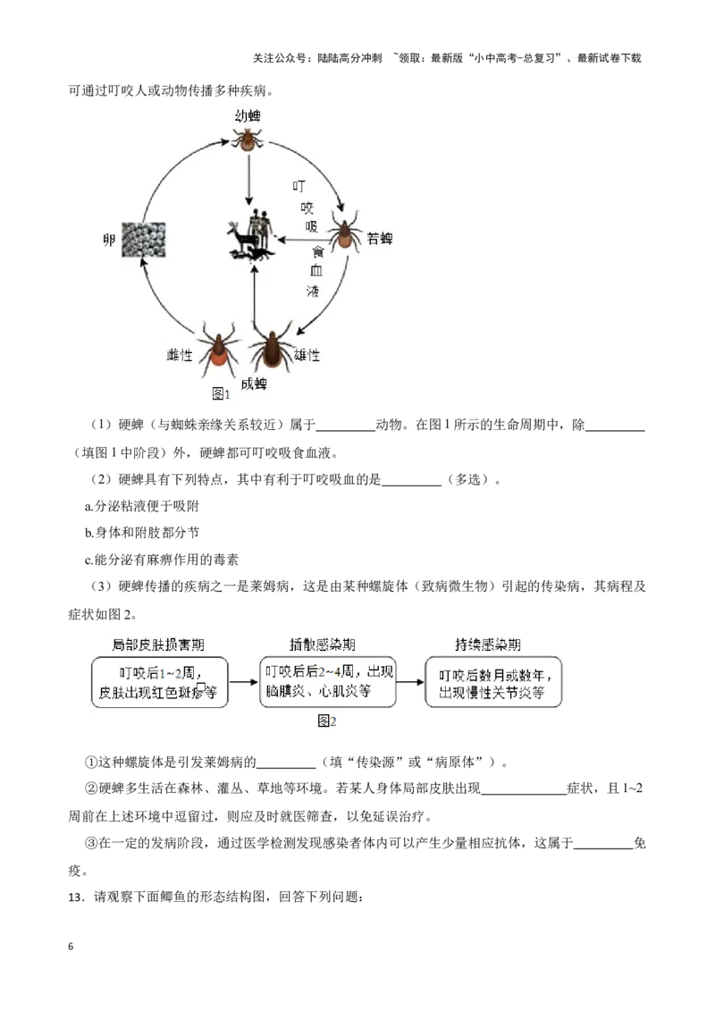 2024年中考生物读图理解专题复习：生物圈中的动物（含答案）_02中考总复习（2026版更新中）_08-生物-中考总复习_2024年中考复习资料_二轮复习_备考2024中考生物二轮复习读图理解精练