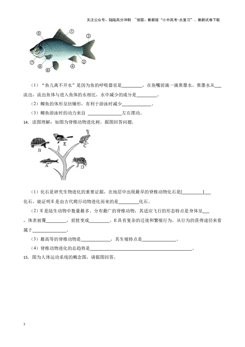 2024年中考生物读图理解专题复习：生物圈中的动物（含答案）_02中考总复习（2026版更新中）_08-生物-中考总复习_2024年中考复习资料_二轮复习_备考2024中考生物二轮复习读图理解精练