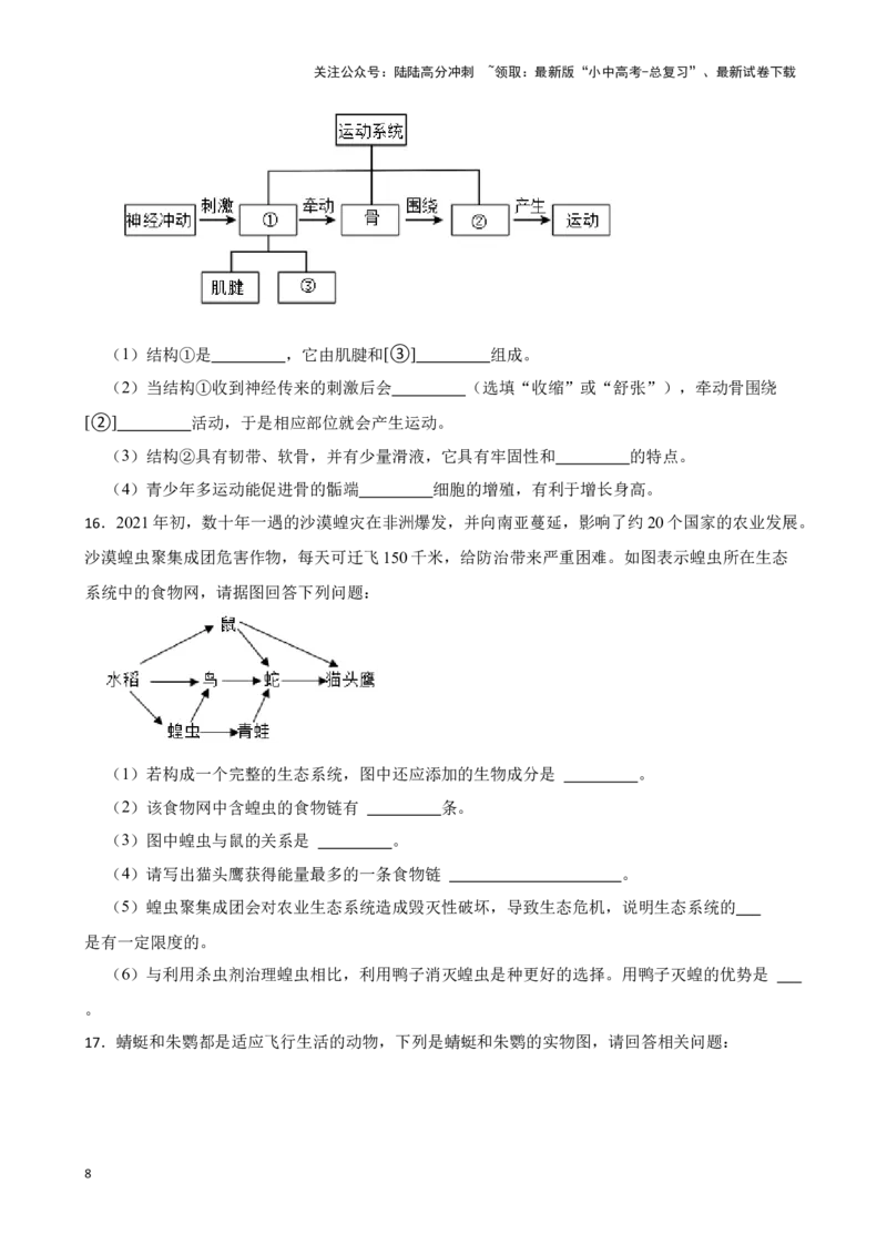 2024年中考生物读图理解专题复习：生物圈中的动物（含答案）_02中考总复习（2026版更新中）_08-生物-中考总复习_2024年中考复习资料_二轮复习_备考2024中考生物二轮复习读图理解精练