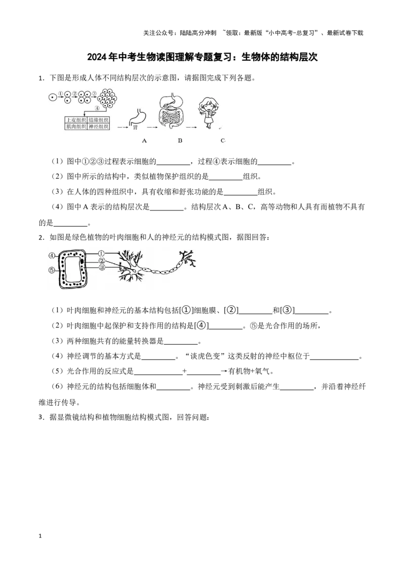 2024年中考生物读图理解专题复习：生物体的结构层次（含答案）_02中考总复习（2026版更新中）_08-生物-中考总复习_2024年中考复习资料_二轮复习