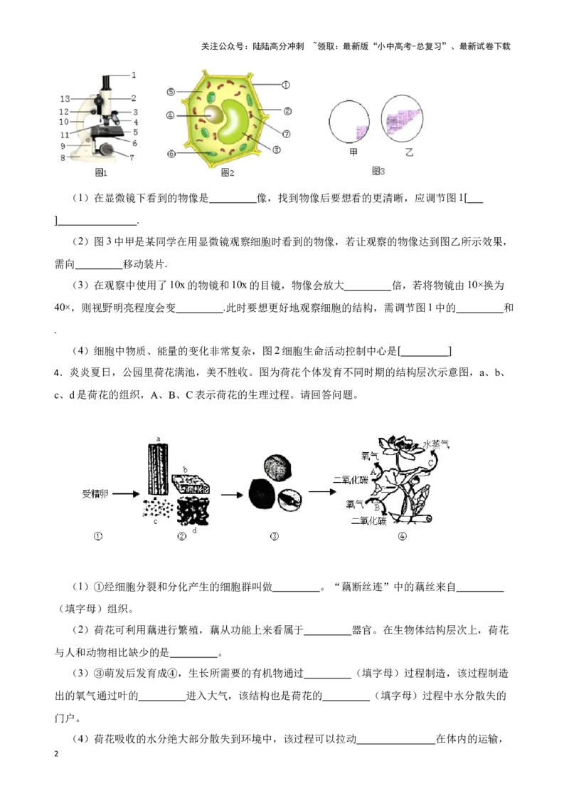 2024年中考生物读图理解专题复习：生物体的结构层次（含答案）_02中考总复习（2026版更新中）_08-生物-中考总复习_2024年中考复习资料_二轮复习