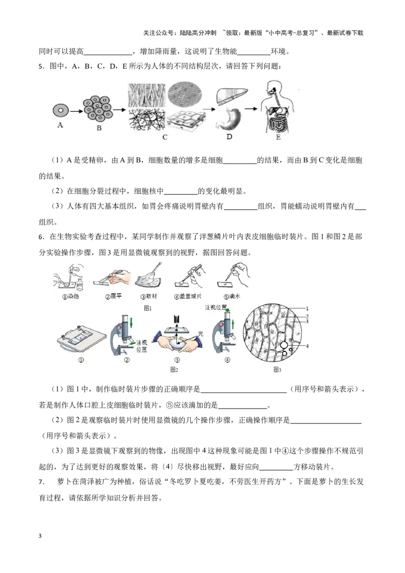 2024年中考生物读图理解专题复习：生物体的结构层次（含答案）_02中考总复习（2026版更新中）_08-生物-中考总复习_2024年中考复习资料_二轮复习