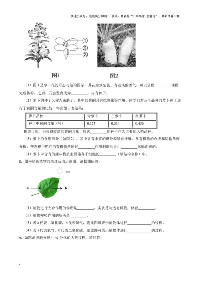 2024年中考生物读图理解专题复习：生物体的结构层次（含答案）_02中考总复习（2026版更新中）_08-生物-中考总复习_2024年中考复习资料_二轮复习