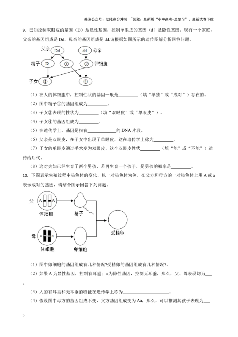 2024年中考生物读图理解专题复习：生物的遗传与变异（含答案）_02中考总复习（2026版更新中）_08-生物-中考总复习_2024年中考复习资料_二轮复习