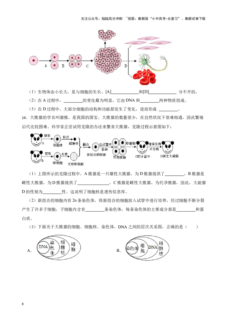2024年中考生物读图理解专题复习：生物的遗传与变异（含答案）_02中考总复习（2026版更新中）_08-生物-中考总复习_2024年中考复习资料_二轮复习