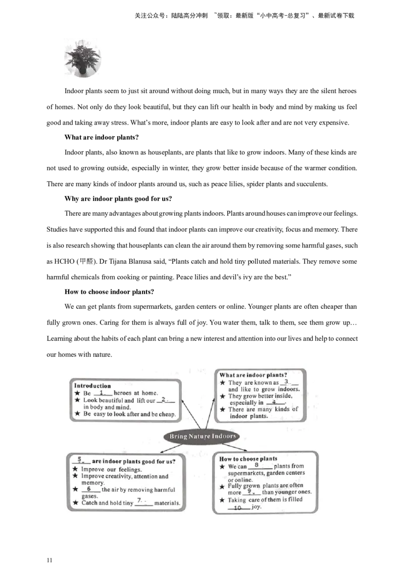 2024年中考英语真题分类汇编08任务型阅读（补全短文，完成表格）--原卷版_02中考总复习（2026版更新中）_03-英语-中考总复习_2025中考复习资料