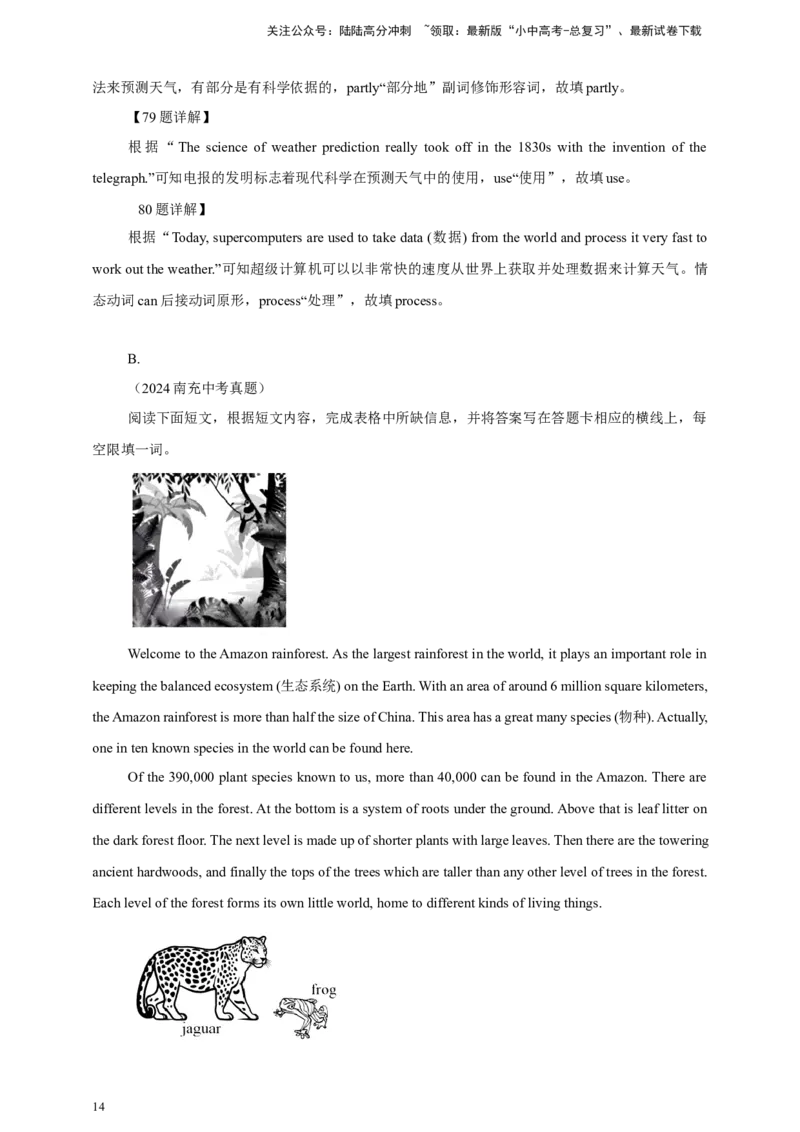 2024年中考英语真题分类汇编08任务型阅读（补全短文，完成表格）--解析版_02中考总复习（2026版更新中）_03-英语-中考总复习_2025中考复习资料