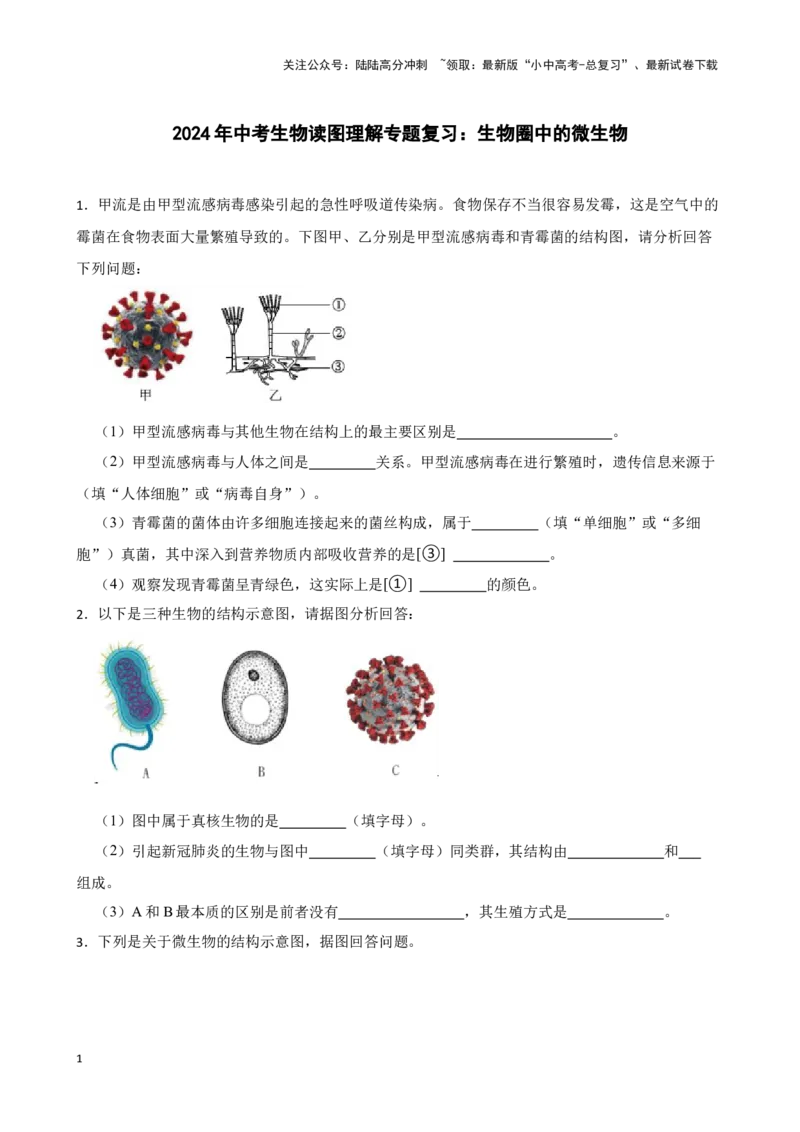 2024年中考生物读图理解专题复习：生物圈中的微生物（含答案）_02中考总复习（2026版更新中）_08-生物-中考总复习_2024年中考复习资料_二轮复习