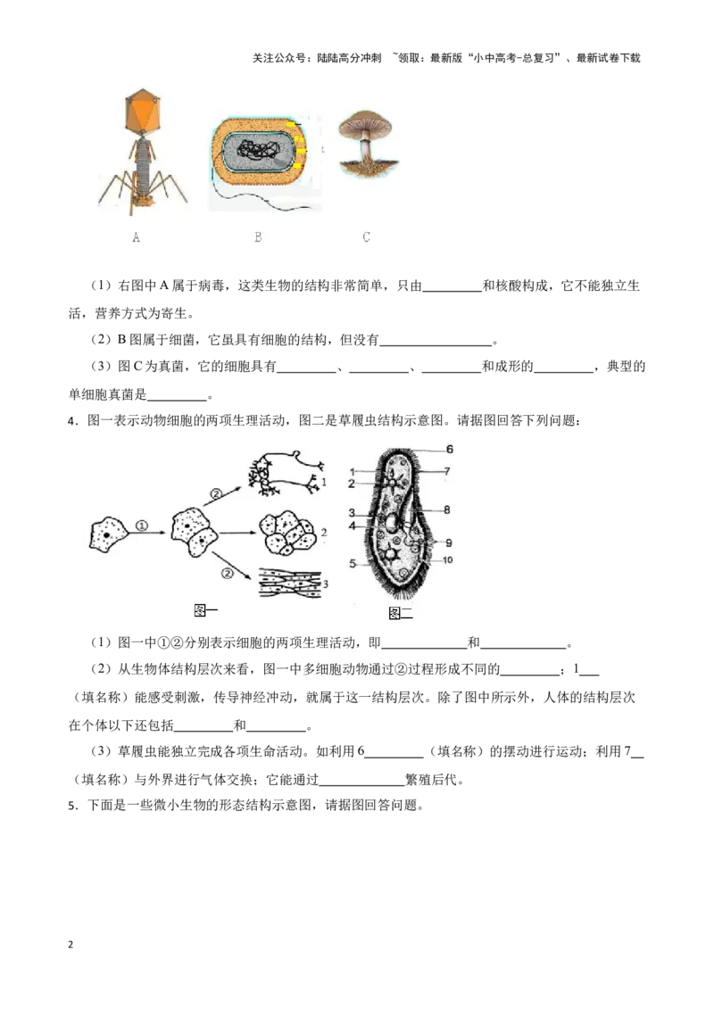 2024年中考生物读图理解专题复习：生物圈中的微生物（含答案）_02中考总复习（2026版更新中）_08-生物-中考总复习_2024年中考复习资料_二轮复习