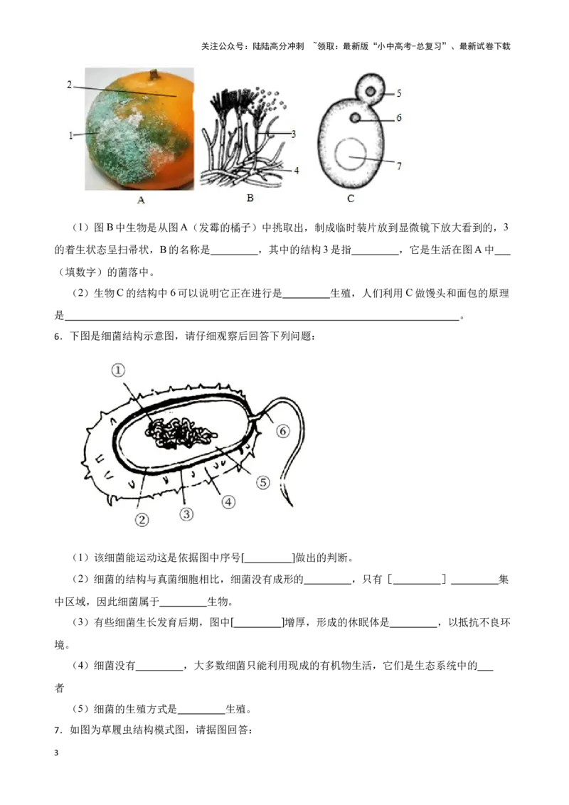 2024年中考生物读图理解专题复习：生物圈中的微生物（含答案）_02中考总复习（2026版更新中）_08-生物-中考总复习_2024年中考复习资料_二轮复习