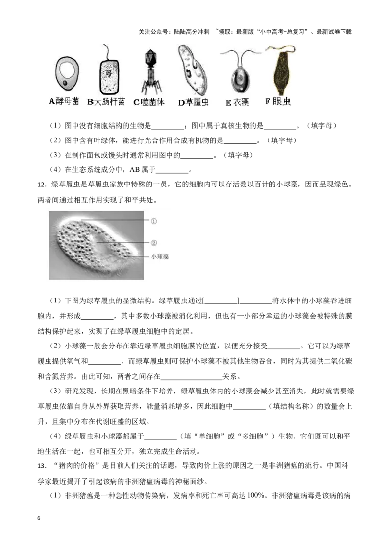 2024年中考生物读图理解专题复习：生物圈中的微生物（含答案）_02中考总复习（2026版更新中）_08-生物-中考总复习_2024年中考复习资料_二轮复习