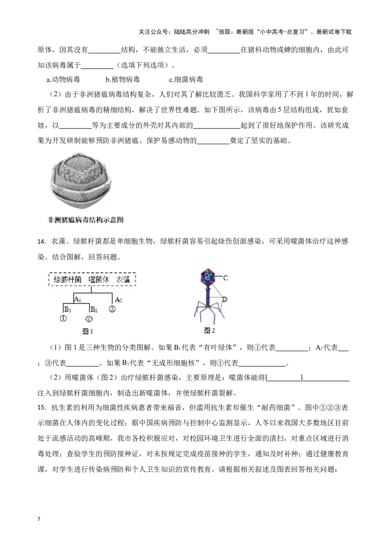 2024年中考生物读图理解专题复习：生物圈中的微生物（含答案）_02中考总复习（2026版更新中）_08-生物-中考总复习_2024年中考复习资料_二轮复习