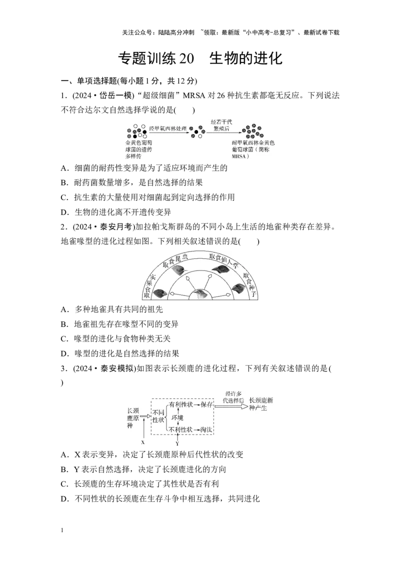 2025中考生物二轮专题训练20　生物的进化（含解析）_02中考总复习（2026版更新中）_08-生物-中考总复习_2025中考复习资料_2025中考生物二轮专题训练（含解析）