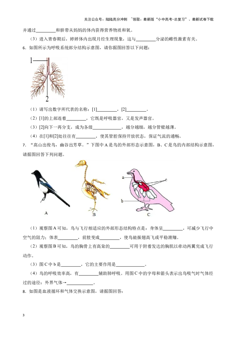 2024年中考生物专题复习：读图理解题（含答案）_02中考总复习（2026版更新中）_08-生物-中考总复习_2024年中考复习资料_二轮复习_备考2024中考生物二轮复习题型突破专练